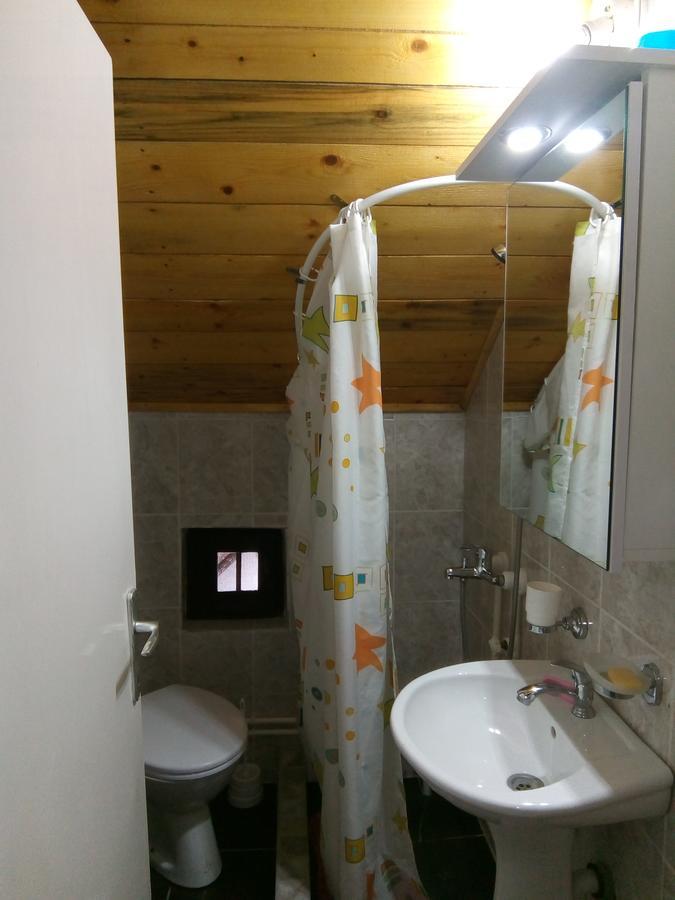 Apartman Mika Сокобаня Екстер'єр фото